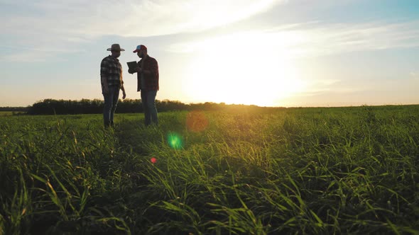 Two Farmers Talking in a Wheat Field Against Blue Sky alt