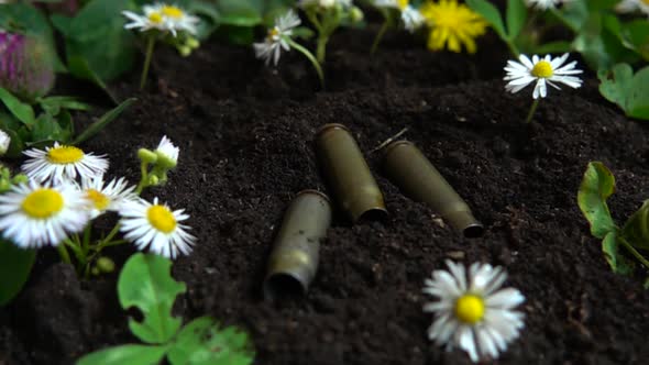 Bullet casings fall to the ground and chamomile flowers. Slow motion. alt
