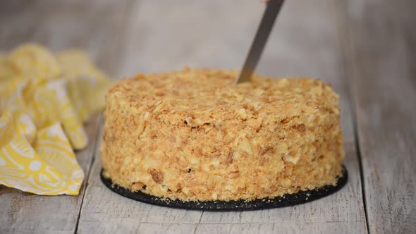 Cutting the Napoleon Birthday Cake at the Table alt