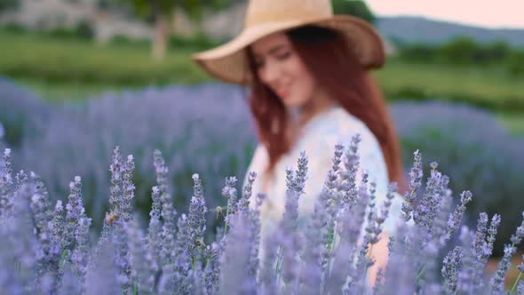 Woman Portrait Among Lavenders alt