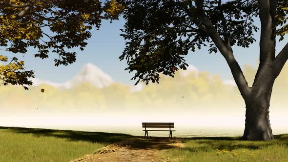 Empty Bench At Park Near Pond By Foggy Day
