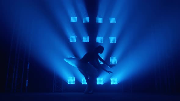 Graceful Silhouette Ballerina Doing a Workout in the Classroom. Smoke in the Rays of Blue Light alt
