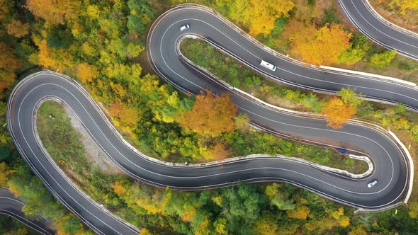 Autumn road - aerial, drone view