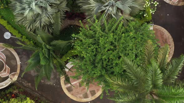 Top view of public park with benches put in designated circles and tropical looking palm trees alt
