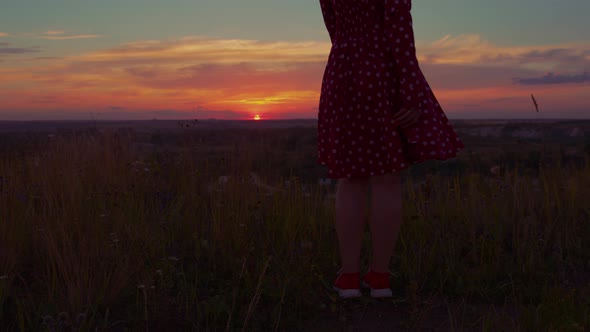 Rear View of Woman in Red Dress Swinging Standing on Hill at Sunset alt