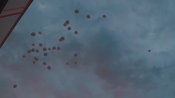 Many Balloons Soar Into the Sky at Sunset alt