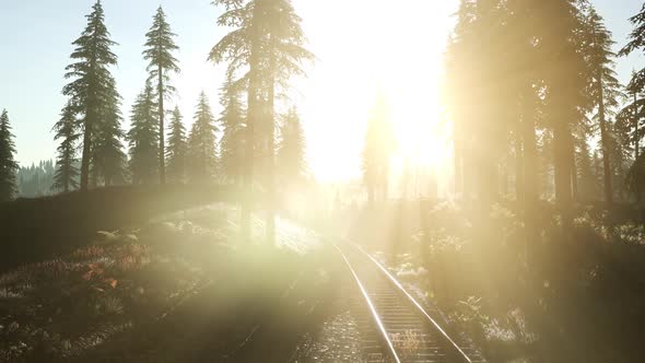 Flight Over Railway alt