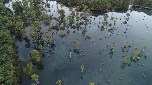 Macaws Lake tourism landmark at Nobres Mato Grosso Brazil. Touristic point. alt