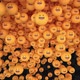 Smile Emoji Transition - VideoHive Item for Sale