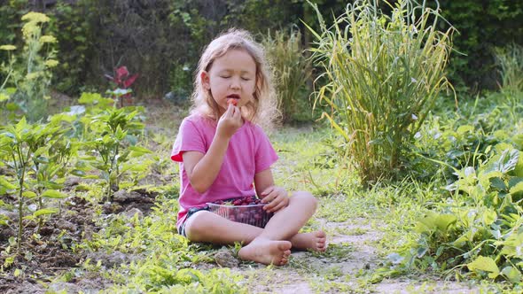 Little Girl is Eating Strawberry and Looking at Camera Sitting on the Grass
