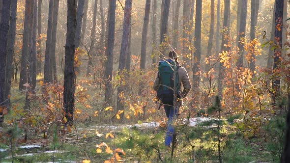 A Man with a Backpack and a Camera Walks in the Autumn Forest alt