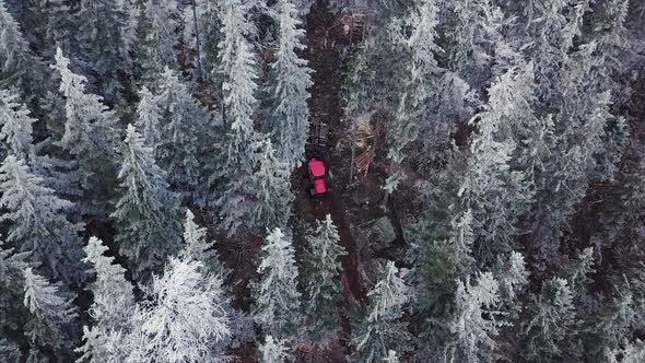 Wood Processing Factory. Aerial shot, Forest Logging Machinery Equipment