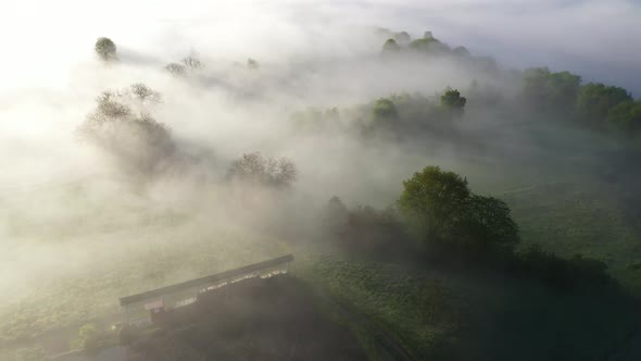 Flying over the foggy countryside alt
