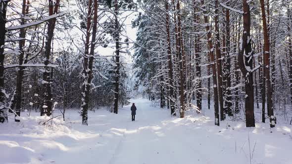 Girl Walking in the Winter Forest Aerial View