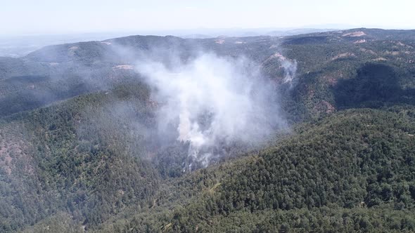 Aerial view of Wildfire on mountain forest, Divcibare, Serbia