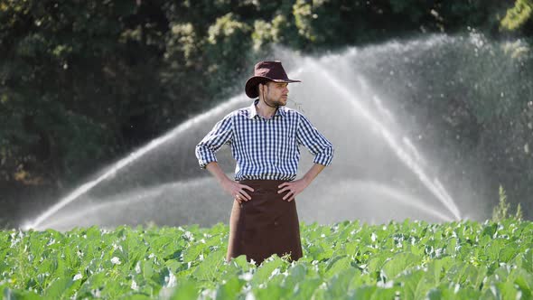 Farmer Standing on His Plantation During Working of Water Sprinkler System alt