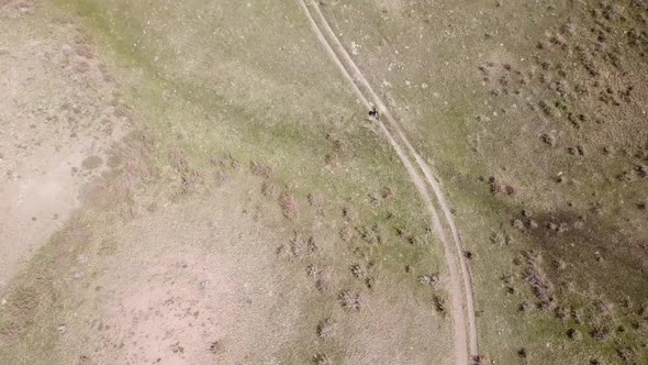 A Group of Cyclists Ride on the Green Steppe alt