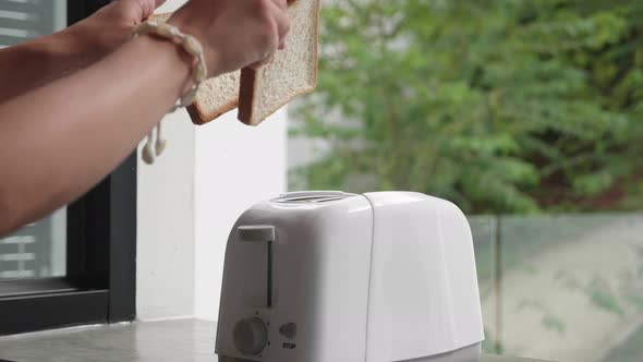 Hands Put Toaster Bread in White Toaster and Turn on a Toaster alt