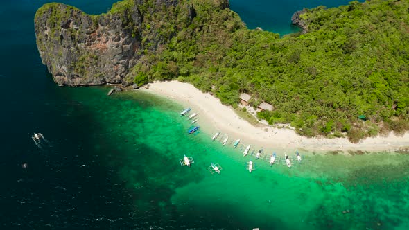 Tropical Island with Sandy Beach alt