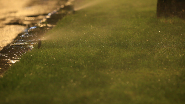 Water Spraying Grass