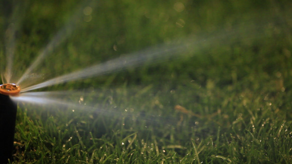Water Sprinkler Showering Grass