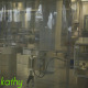 Lab Staff In Laboratory And Medical Industry - VideoHive Item for Sale