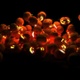 Pumpkins Background Glow - VideoHive Item for Sale