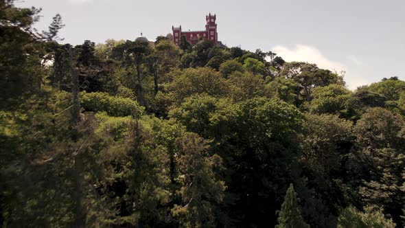 Lush forest at Natural Park and Pena Palace Sintra, Lisbon, Portugal. Aerial forward alt