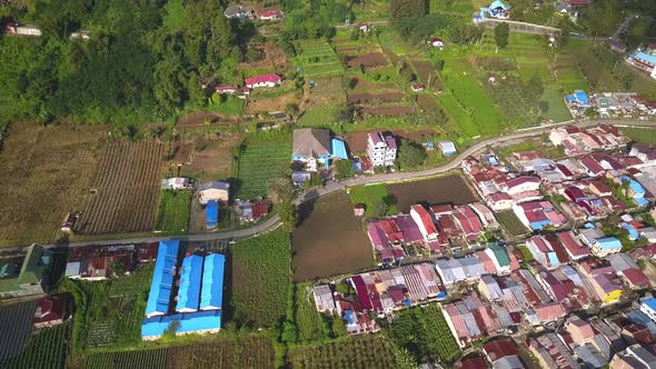 Aerial wide view of green natural village in North Sumatera, Asia with houses surrounded by vegetabl alt