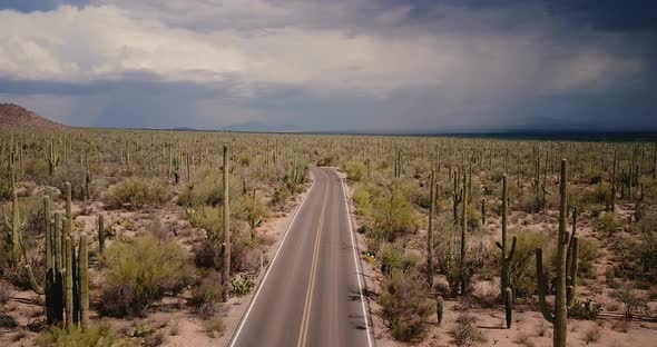 Drone Flying Above Beautiful Empty Desert Road in Big Saguaro Cactus Field in Arizona National Park
