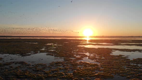 Sea Estuary. Flight Over Water. Sunset Over the Estuary. Birds Fly Over the Water Surface.