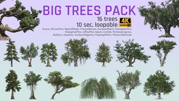 16 Realistic Trees Pack