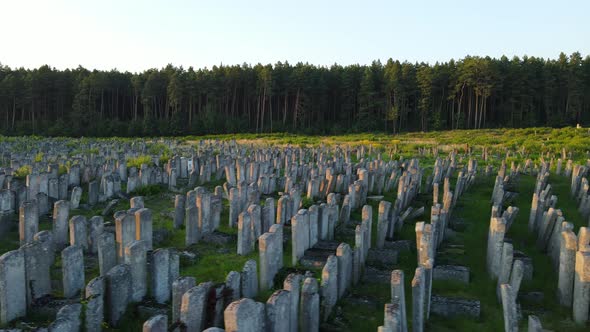 Aerial Shot City Brody. Jewish Cemetery. Ukraine alt