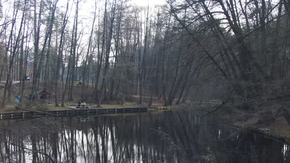 small river in spring forest. aerial. alt