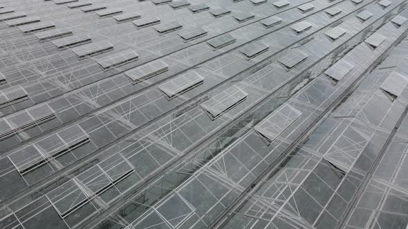 Greenhouses with herbs alt