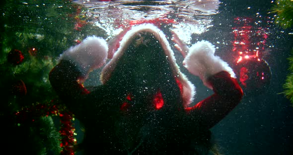 Woman Swims Near Christmas Tree Underwater Slow Motion alt