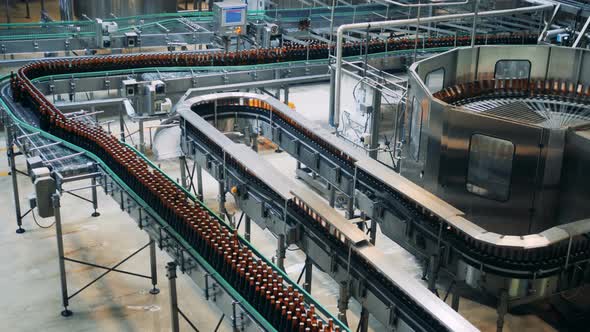 Brewery Conveyors Work, Moving Bottles, Top View. alt