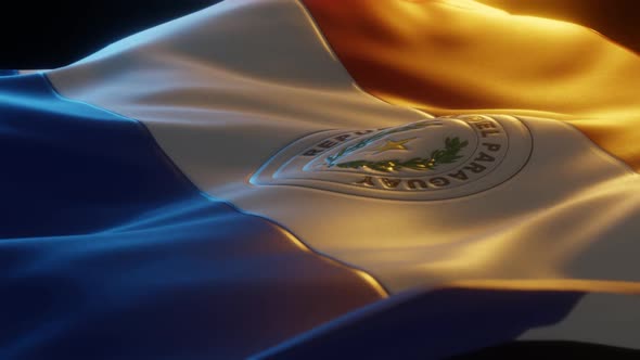 Paraguay - Stylized Flag alt