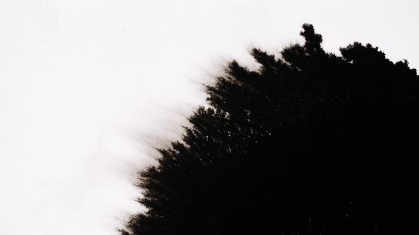 Black Ink Drops On White Background alt