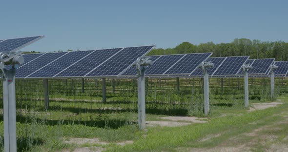 solar panels on a solar farm alt
