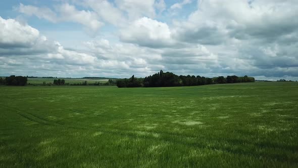 Flying over a green field 4K