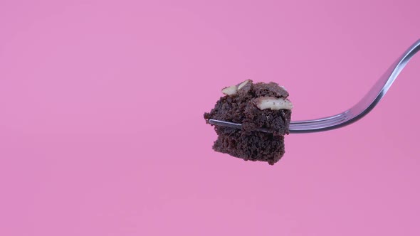 Bites On Chocolate Brownie On Stop Motion