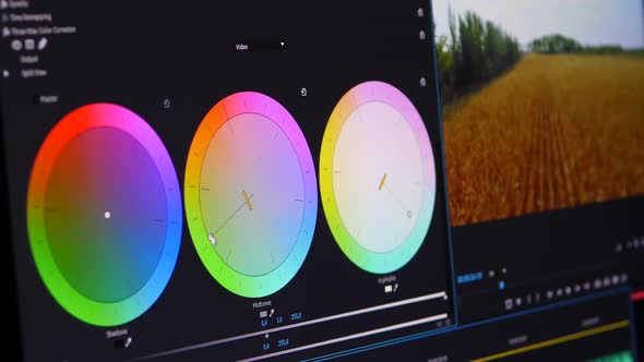 Video Color Correction Ring alt