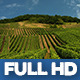 Moselle Valley Wineyard 1 - VideoHive Item for Sale