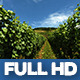 Moselle Valley Wineyard 2 - VideoHive Item for Sale