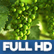 Moselle Valley Wineyard 3 - VideoHive Item for Sale