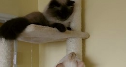 Positive Modern Corporate Music