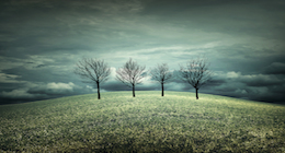 Cinematic | Emotional | Drama