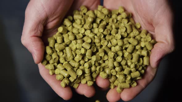 Slow motion footage of beer home brewing supplies and processes - BEER BREWING 067 alt