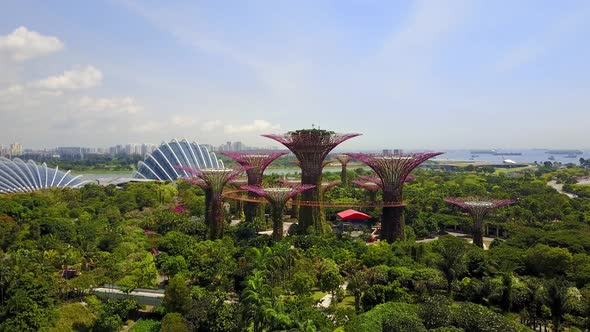 Aerial View of Supertree Grove at Gardens by the Bay in Singapore